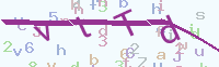 看不清楚？點(diǎn)擊可獲取新的驗(yàn)證碼.