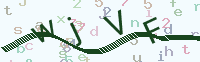 看不清楚？點(diǎn)擊可獲取新的驗(yàn)證碼.