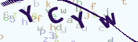 看不清楚？點(diǎn)擊可獲取新的驗(yàn)證碼.