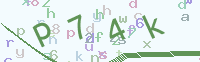 看不清楚？點(diǎn)擊可獲取新的驗(yàn)證碼.