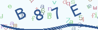 看不清楚？點(diǎn)擊可獲取新的驗(yàn)證碼.