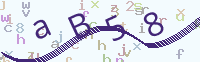 看不清楚？點(diǎn)擊可獲取新的驗(yàn)證碼.