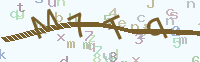 看不清楚？點(diǎn)擊可獲取新的驗(yàn)證碼.