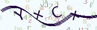 看不清楚？點(diǎn)擊可獲取新的驗(yàn)證碼.