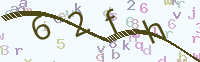 看不清楚？點(diǎn)擊可獲取新的驗(yàn)證碼.