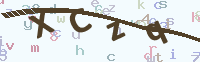 看不清楚？點(diǎn)擊可獲取新的驗(yàn)證碼.