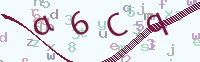 看不清楚？點(diǎn)擊可獲取新的驗(yàn)證碼.