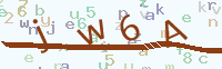 看不清楚？點(diǎn)擊可獲取新的驗(yàn)證碼.