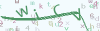 看不清楚？點(diǎn)擊可獲取新的驗(yàn)證碼.