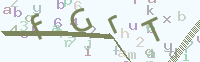 看不清楚？點(diǎn)擊可獲取新的驗(yàn)證碼.