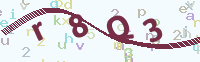 看不清楚？點(diǎn)擊可獲取新的驗(yàn)證碼.