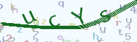 看不清楚？點(diǎn)擊可獲取新的驗(yàn)證碼.