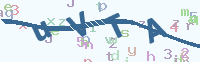 看不清楚？點(diǎn)擊可獲取新的驗(yàn)證碼.