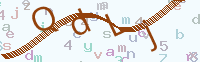 看不清楚？點(diǎn)擊可獲取新的驗(yàn)證碼.