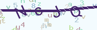 看不清楚？點(diǎn)擊可獲取新的驗(yàn)證碼.
