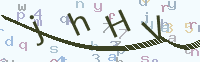 看不清楚？點(diǎn)擊可獲取新的驗(yàn)證碼.