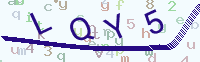 看不清楚？點(diǎn)擊可獲取新的驗(yàn)證碼.