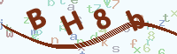 看不清楚？點(diǎn)擊可獲取新的驗(yàn)證碼.