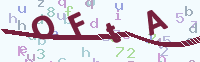 看不清楚？點(diǎn)擊可獲取新的驗(yàn)證碼.