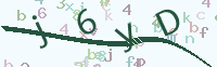 看不清楚？點(diǎn)擊可獲取新的驗(yàn)證碼.