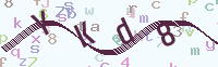 看不清楚？點(diǎn)擊可獲取新的驗(yàn)證碼.
