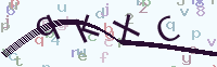 看不清楚？點(diǎn)擊可獲取新的驗(yàn)證碼.