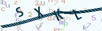 看不清楚？點(diǎn)擊可獲取新的驗(yàn)證碼.