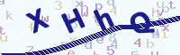 看不清楚？點(diǎn)擊可獲取新的驗(yàn)證碼.