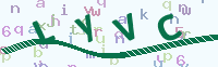 看不清楚？點(diǎn)擊可獲取新的驗(yàn)證碼.