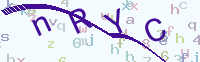 看不清楚？點(diǎn)擊可獲取新的驗(yàn)證碼.