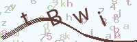 看不清楚？點(diǎn)擊可獲取新的驗(yàn)證碼.