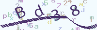 看不清楚？點(diǎn)擊可獲取新的驗(yàn)證碼.