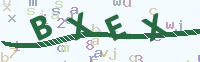 看不清楚？點(diǎn)擊可獲取新的驗證碼.