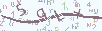 看不清楚？點(diǎn)擊可獲取新的驗(yàn)證碼.