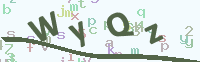 看不清楚？點(diǎn)擊可獲取新的驗(yàn)證碼.