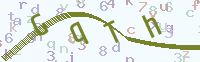 看不清楚？點(diǎn)擊可獲取新的驗(yàn)證碼.