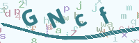 看不清楚？點(diǎn)擊可獲取新的驗證碼.