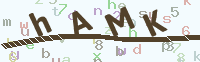 看不清楚？點(diǎn)擊可獲取新的驗(yàn)證碼.