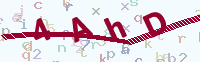 看不清楚？點(diǎn)擊可獲取新的驗(yàn)證碼.