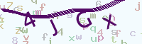 看不清楚？點(diǎn)擊可獲取新的驗(yàn)證碼.