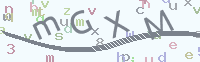 看不清楚？點(diǎn)擊可獲取新的驗(yàn)證碼.