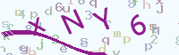 看不清楚？點(diǎn)擊可獲取新的驗(yàn)證碼.