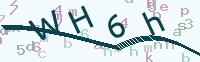 看不清楚？點(diǎn)擊可獲取新的驗(yàn)證碼.