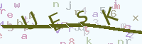 看不清楚？點(diǎn)擊可獲取新的驗(yàn)證碼.
