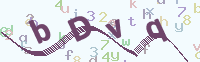 看不清楚？點(diǎn)擊可獲取新的驗(yàn)證碼.