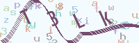 看不清楚？點(diǎn)擊可獲取新的驗(yàn)證碼.
