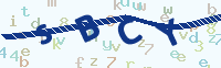 看不清楚？點(diǎn)擊可獲取新的驗(yàn)證碼.