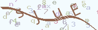 看不清楚？點(diǎn)擊可獲取新的驗(yàn)證碼.