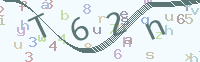 看不清楚？點(diǎn)擊可獲取新的驗(yàn)證碼.