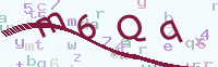 看不清楚？點(diǎn)擊可獲取新的驗(yàn)證碼.